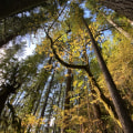 Adapting to Change: The Evolution of Political Parties in Deschutes County, Oregon